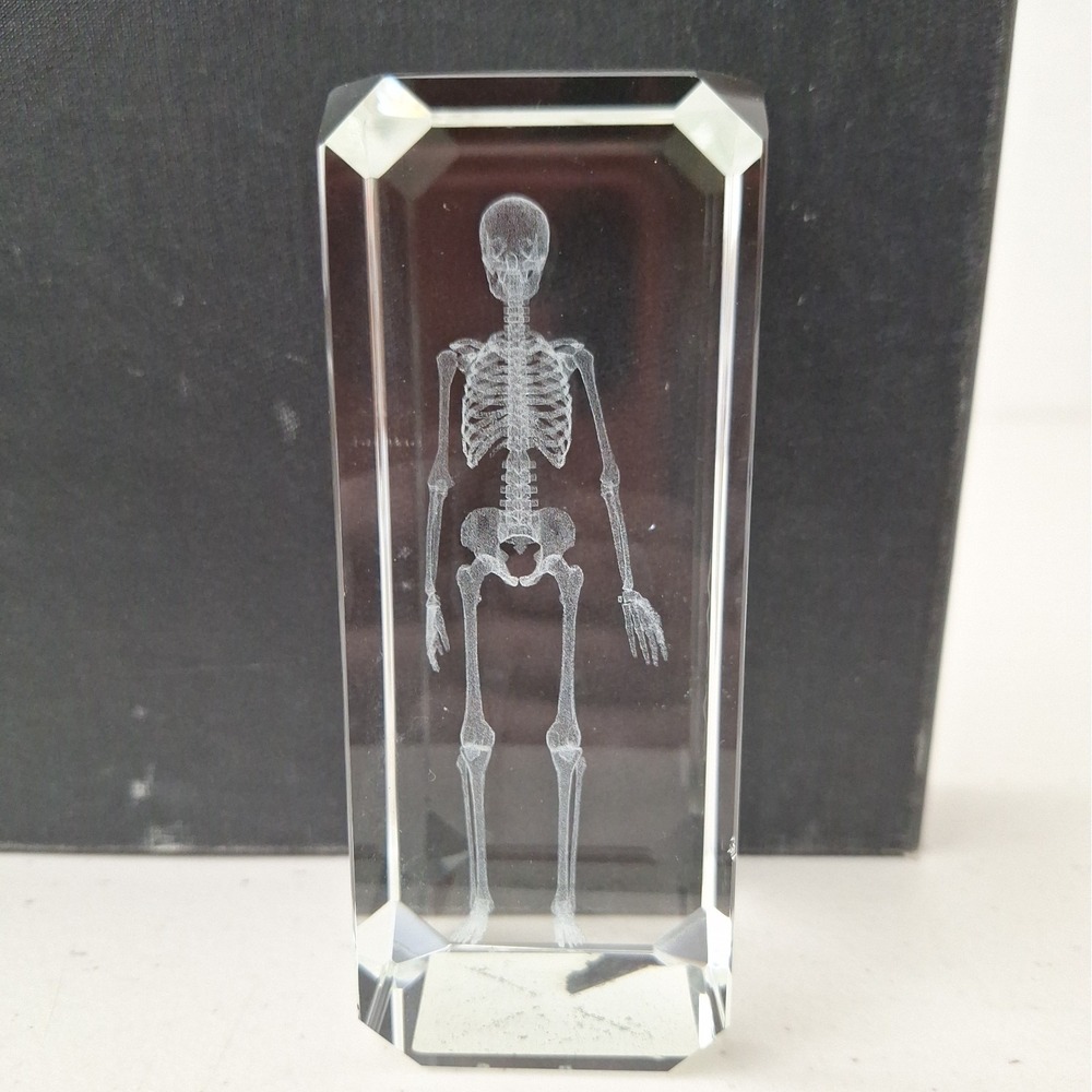 Crystal Paperweight Holographic Skeleton 3D Laser Etched Halloween Vintage 4.75"